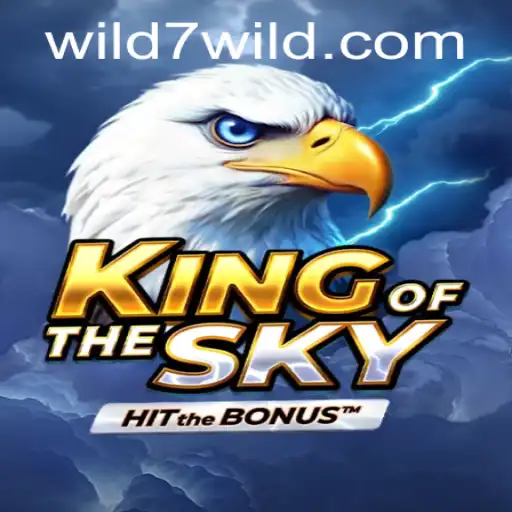 KingOfTheSky: An Immersive Gaming Experience with Wild7